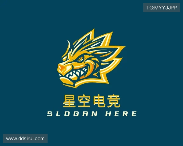 了解星空电竞官网